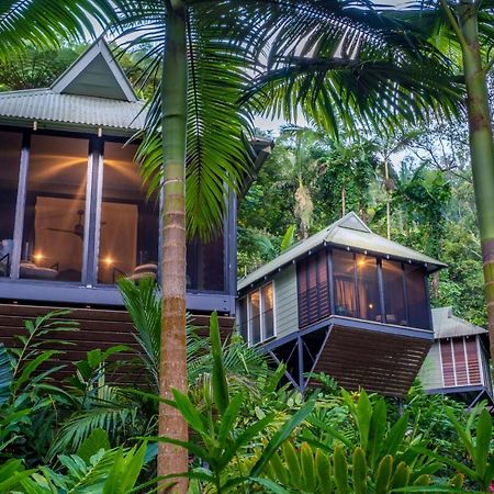Daintree Ecolodge المظهر الخارجي الصورة