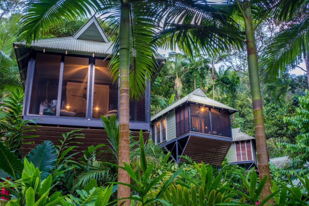 Daintree Ecolodge المظهر الخارجي الصورة