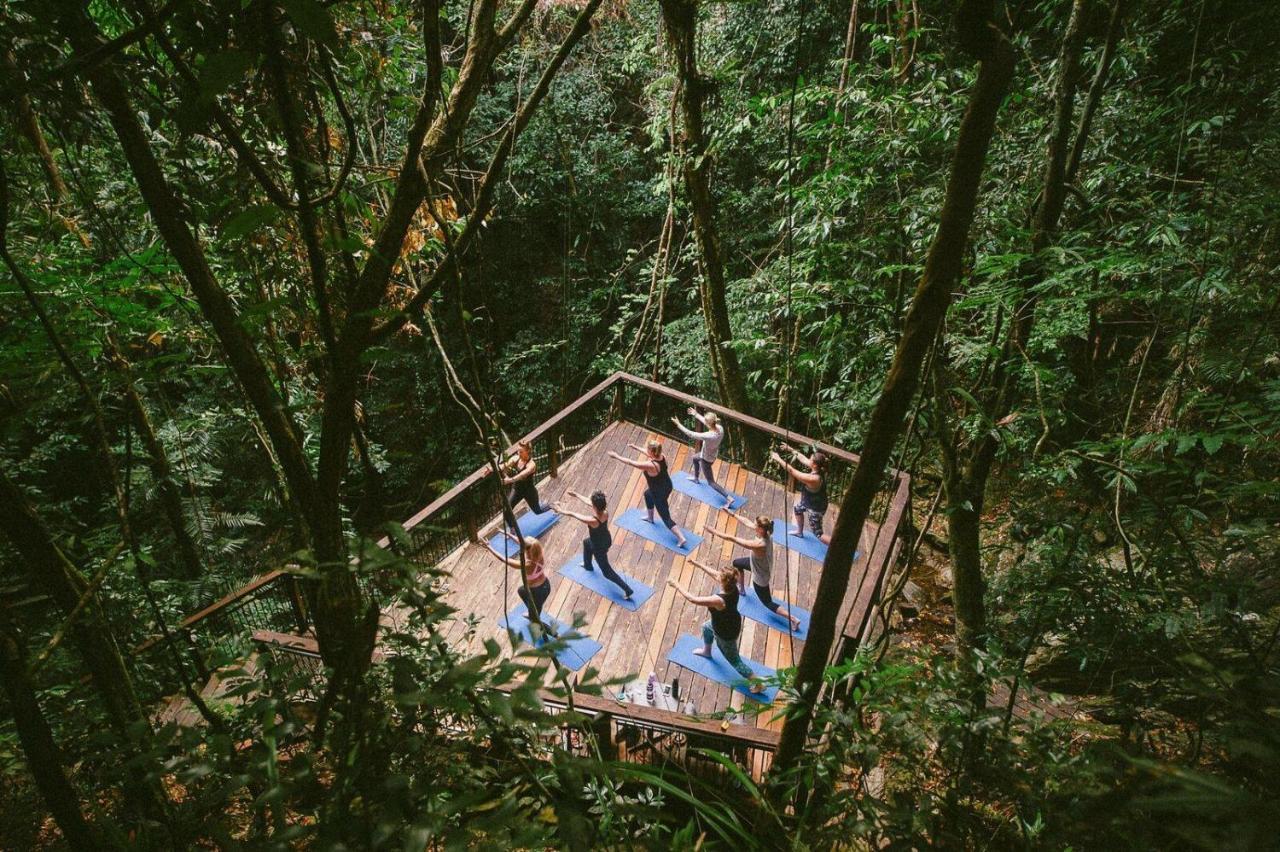 Daintree Ecolodge المظهر الخارجي الصورة