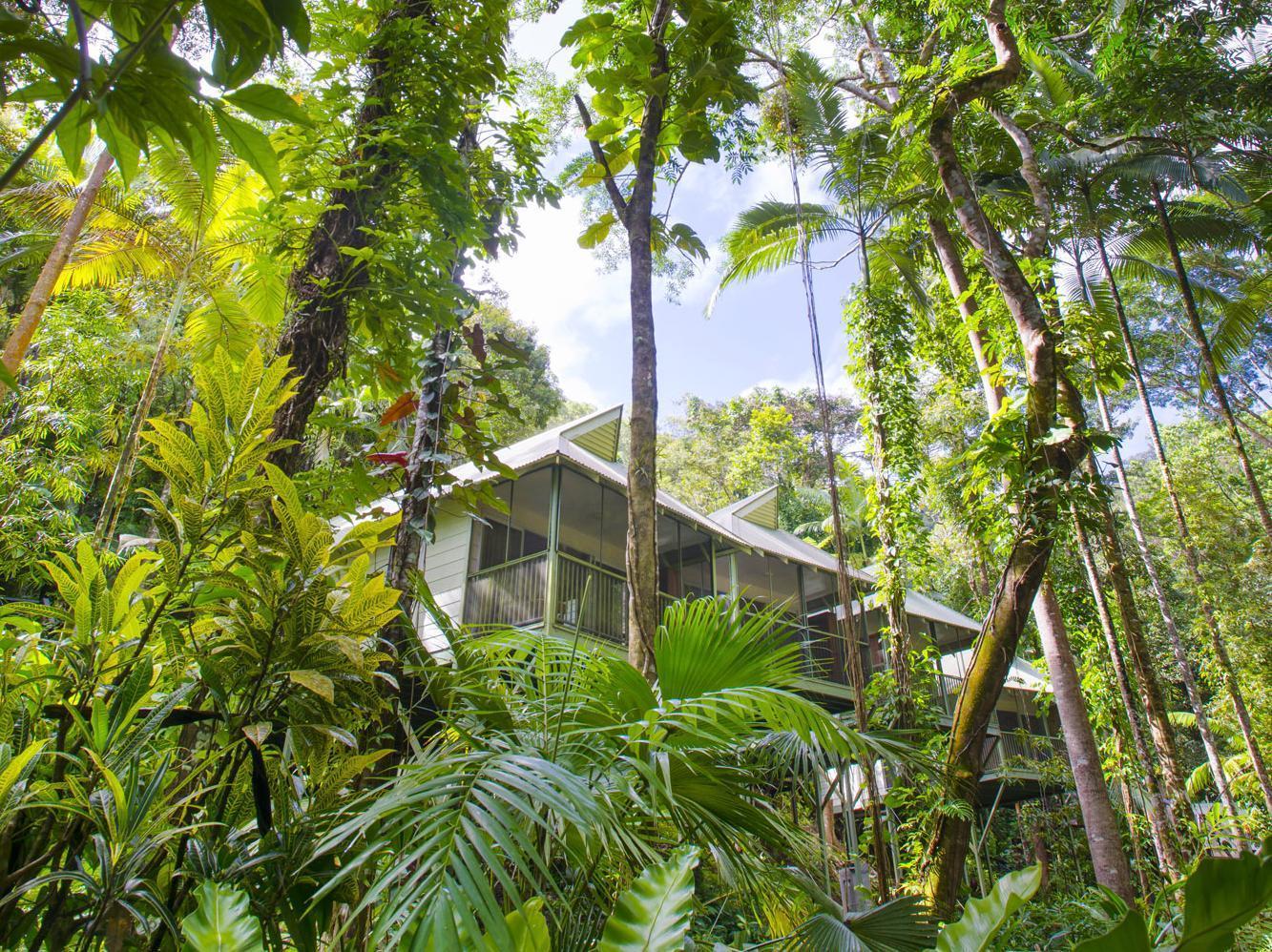 Daintree Ecolodge المظهر الخارجي الصورة