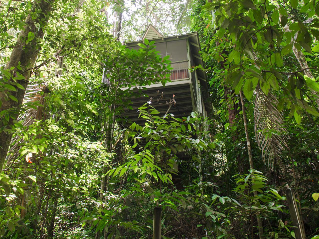 Daintree Ecolodge المظهر الخارجي الصورة