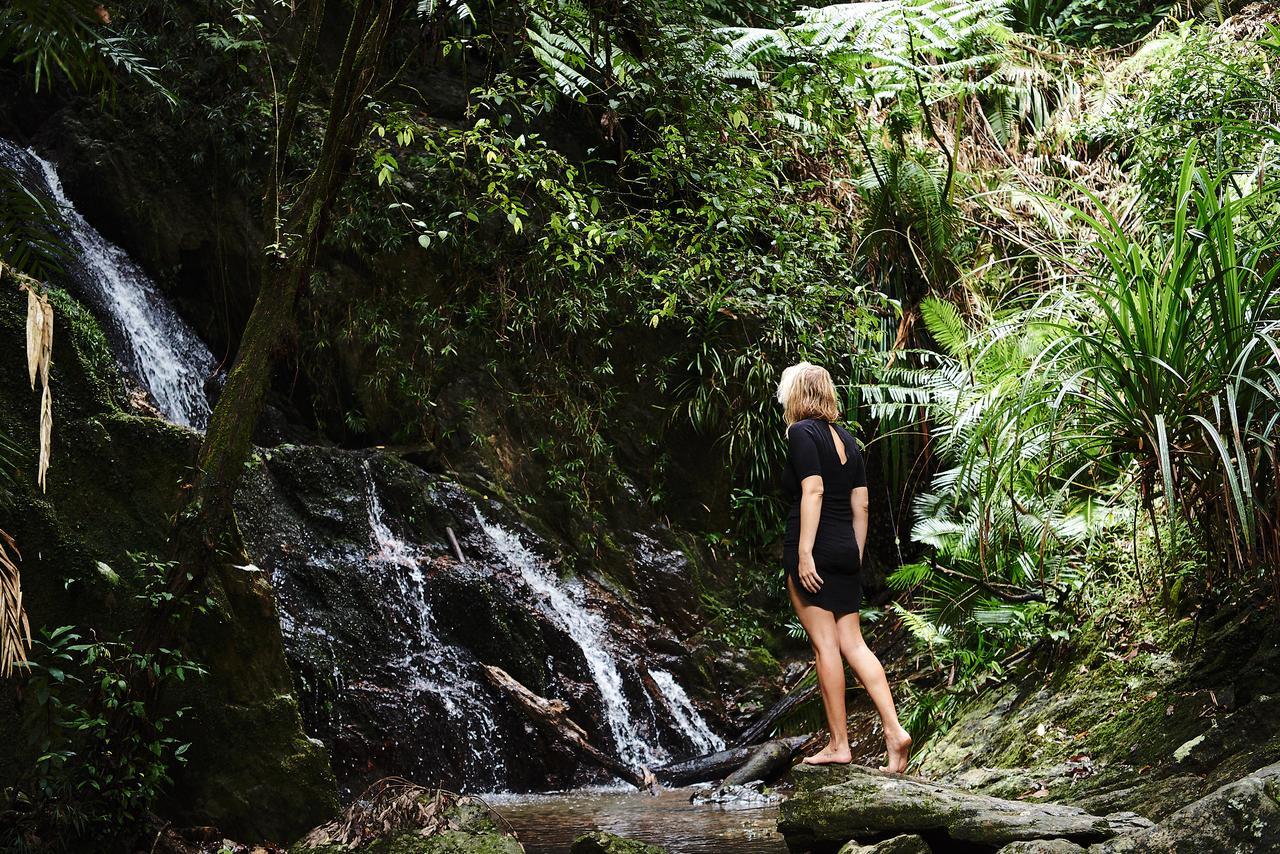 Daintree Ecolodge المظهر الخارجي الصورة