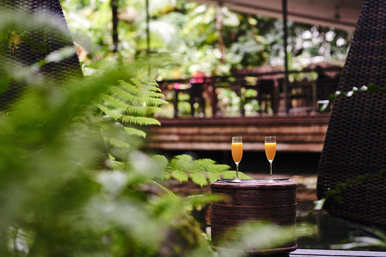 Daintree Ecolodge المظهر الخارجي الصورة