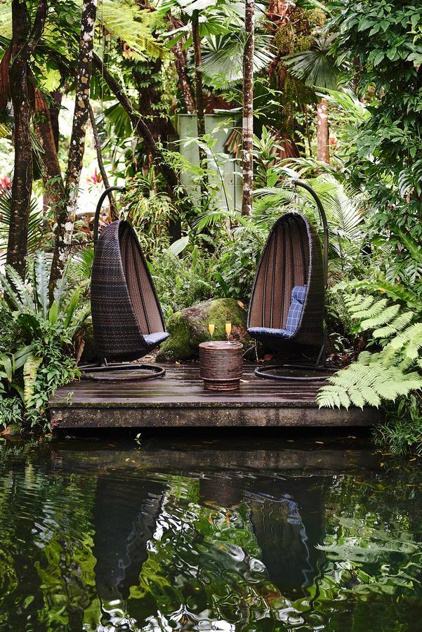 Daintree Ecolodge المظهر الخارجي الصورة