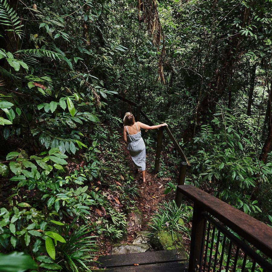 Daintree Ecolodge المظهر الخارجي الصورة