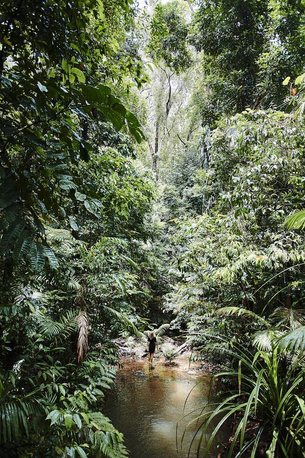 Daintree Ecolodge المظهر الخارجي الصورة