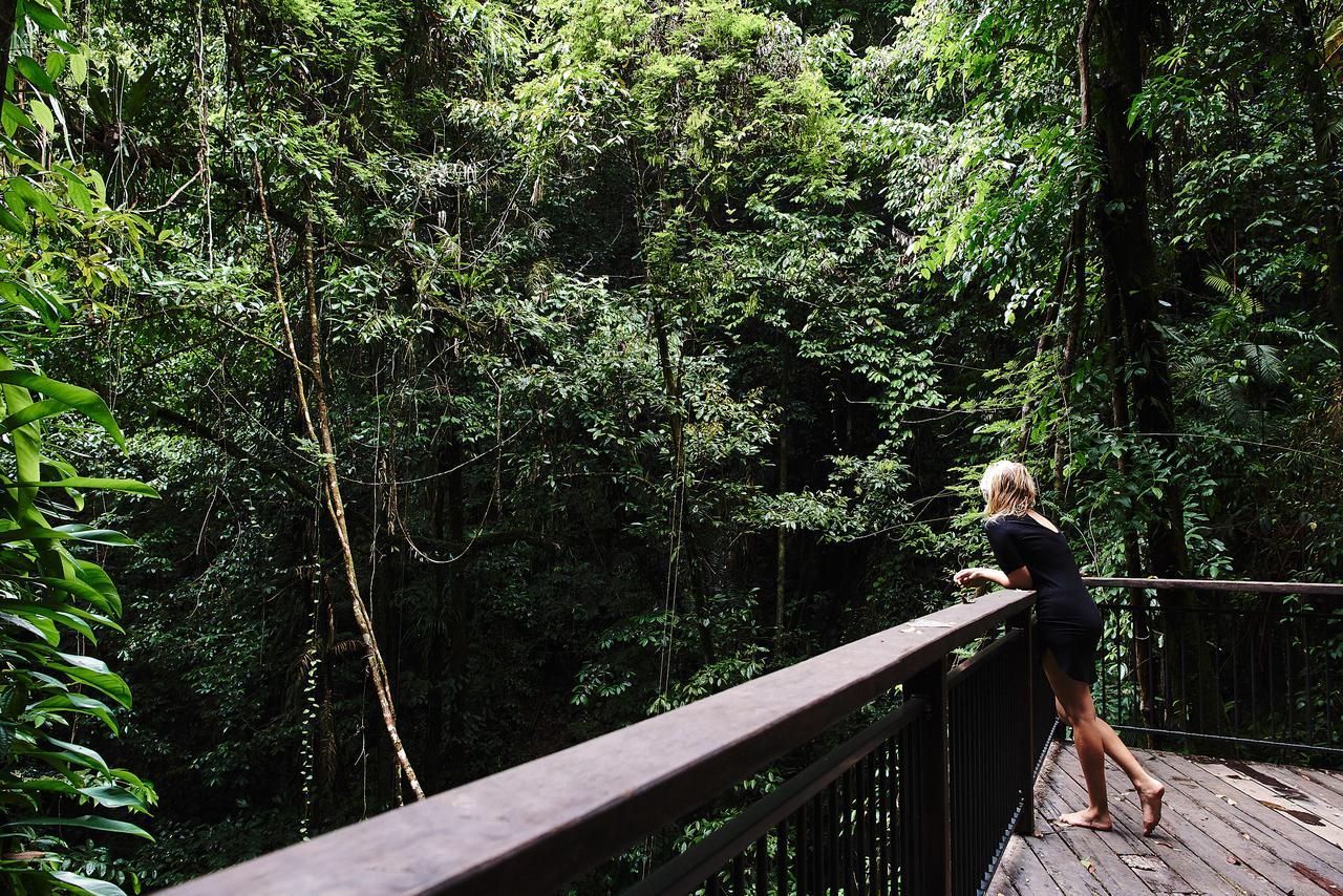 Daintree Ecolodge المظهر الخارجي الصورة
