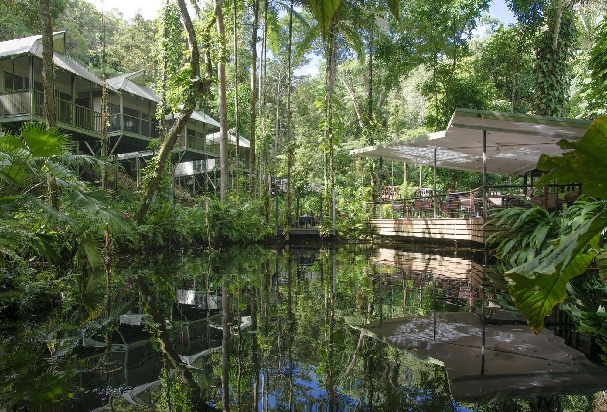 Daintree Ecolodge المظهر الخارجي الصورة