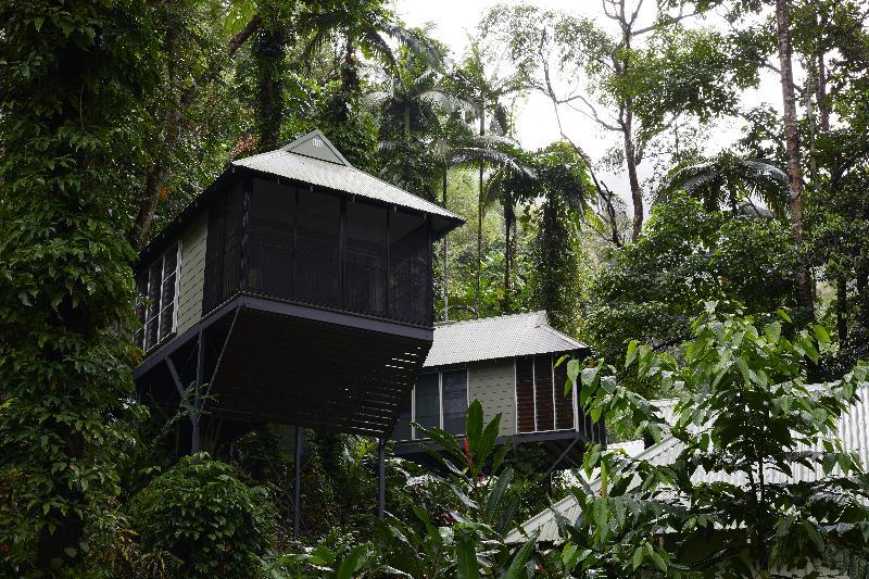 Daintree Ecolodge المظهر الخارجي الصورة