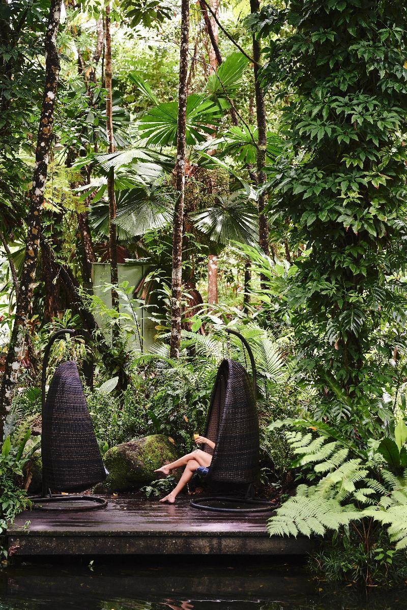 Daintree Ecolodge المظهر الخارجي الصورة