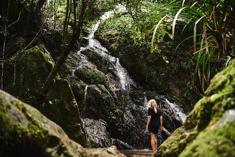 Daintree Ecolodge المظهر الخارجي الصورة