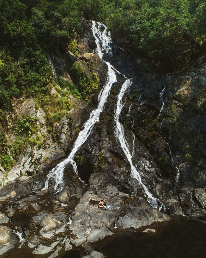 Daintree Ecolodge المظهر الخارجي الصورة