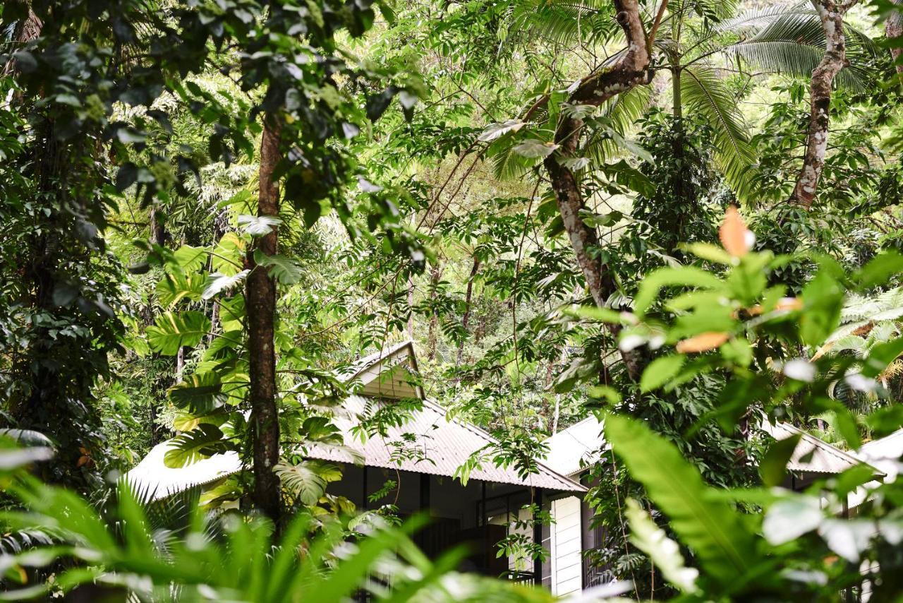 Daintree Ecolodge المظهر الخارجي الصورة