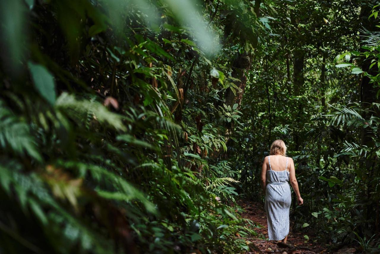 Daintree Ecolodge المظهر الخارجي الصورة